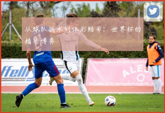 从球队战术到体彩赔率：世界杯的精彩博弈