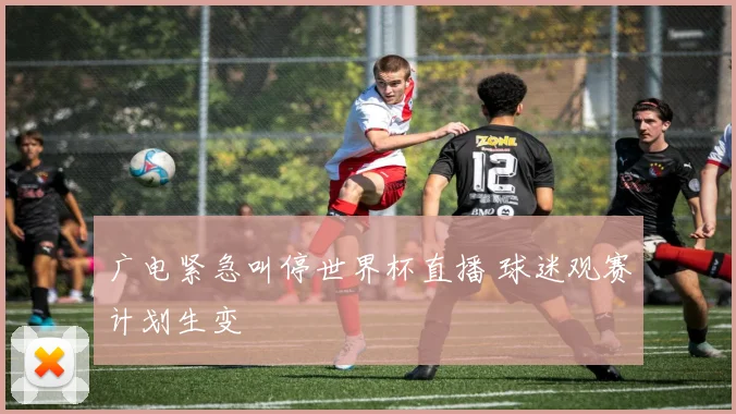 广电紧急叫停世界杯直播 球迷观赛计划生变