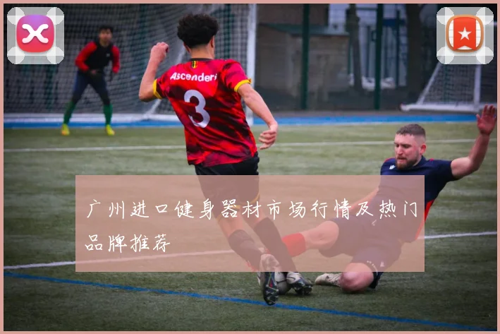 广州进口健身器材市场行情及热门品牌推荐