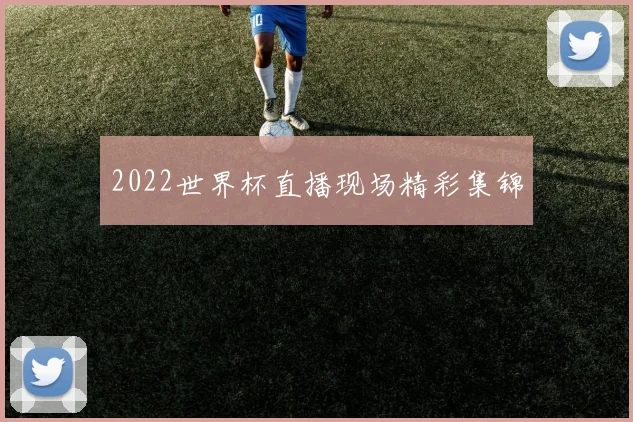 2022世界杯直播现场精彩集锦