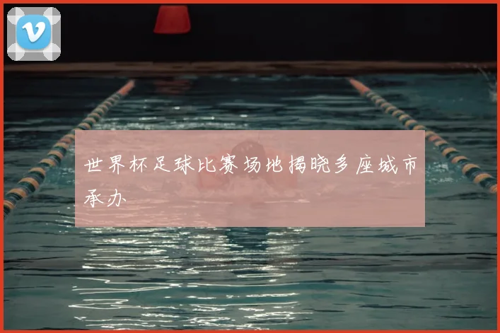 世界杯足球比赛场地揭晓多座城市承办