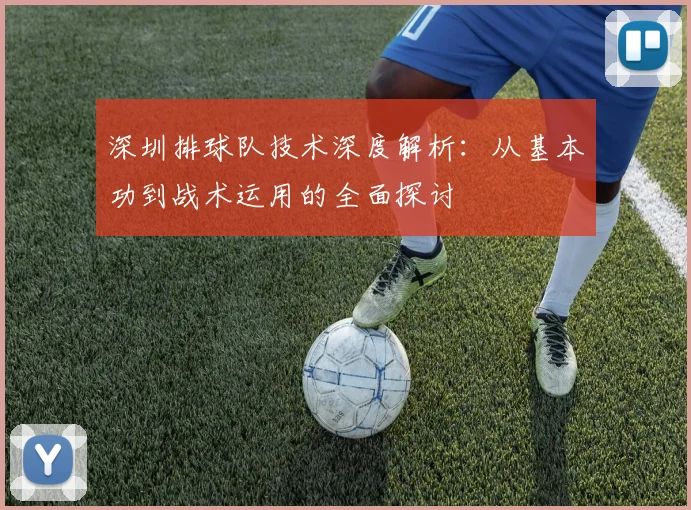 深圳排球队技术深度解析：从基本功到战术运用的全面探讨