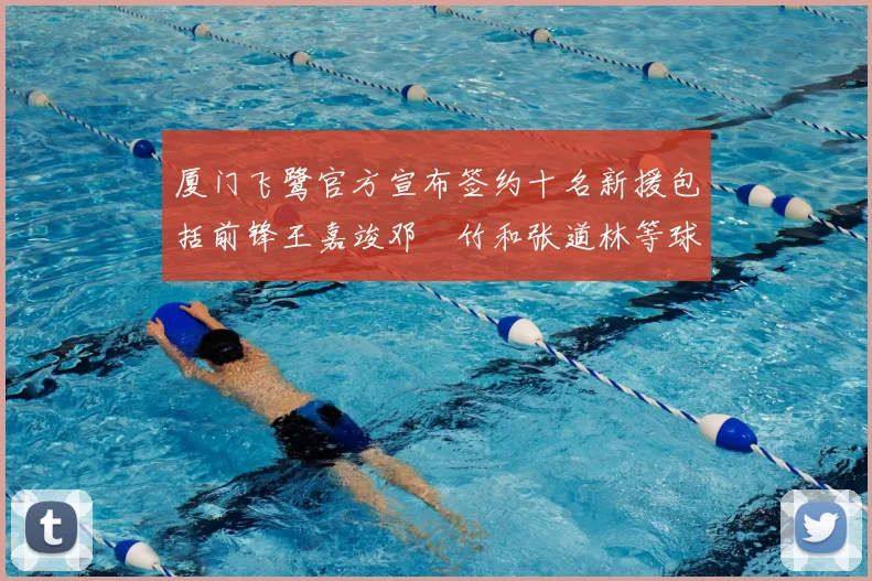 厦门飞鹭官方宣布签约十名新援包括前锋王嘉竣邓棽竹和张道林等球员