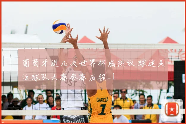 葡萄牙进几次世界杯成热议 球迷关注球队大赛参赛历程_1