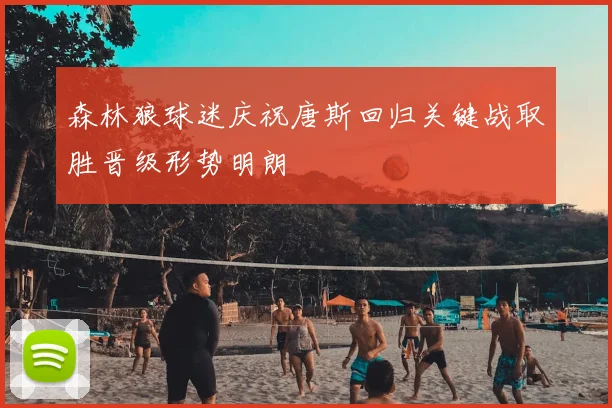 森林狼球迷庆祝唐斯回归关键战取胜晋级形势明朗