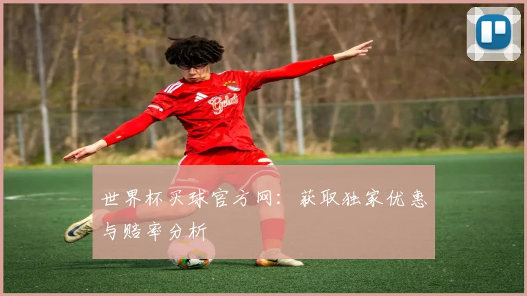 世界杯买球官方网:获取独家优惠与赔率分析