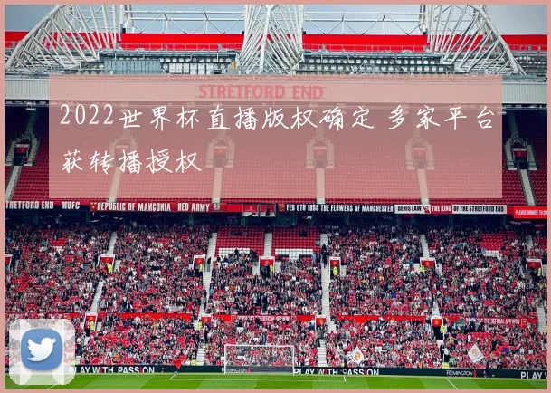 2022世界杯直播版权确定 多家平台获转播授权