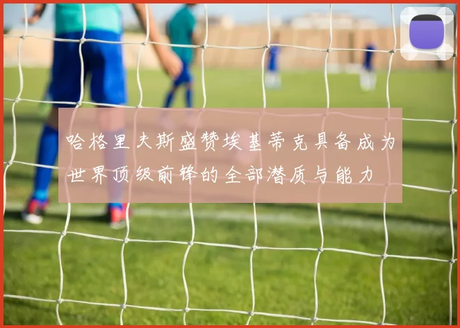 哈格里夫斯盛赞埃基蒂克具备成为世界顶级前锋的全部潜质与能力