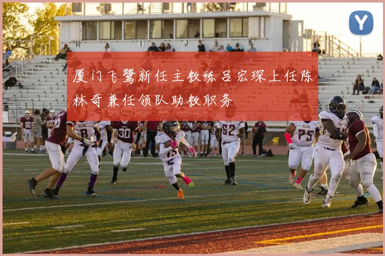 厦门飞鹭新任主教练吕宏琛上任陈林奇兼任领队助教职务