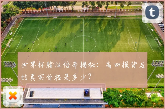 世界杯赌注倍率揭秘:高回报背后的真实价格是多少?