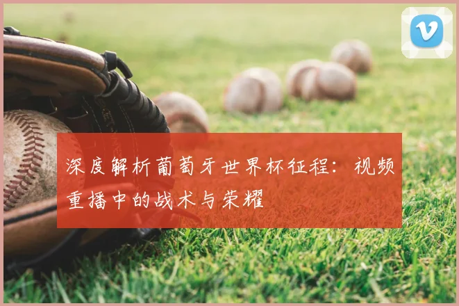 深度解析葡萄牙世界杯征程:视频重播中的战术与荣耀