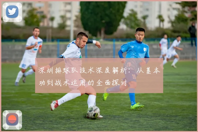 深圳排球队技术深度解析：从基本功到战术运用的全面探讨