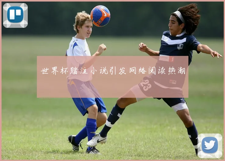世界杯赌注小说引发网络阅读热潮